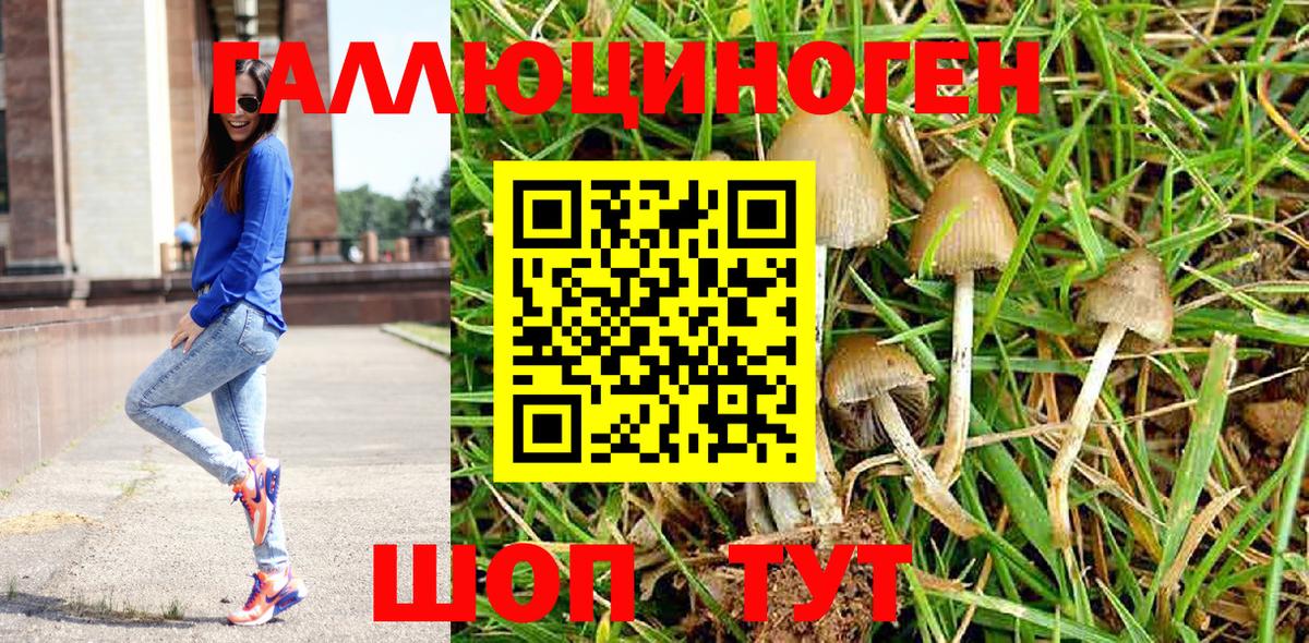 Омск  Галлюциногенные грибы прущие грибы  даркнет сайт  Вход с VPN 