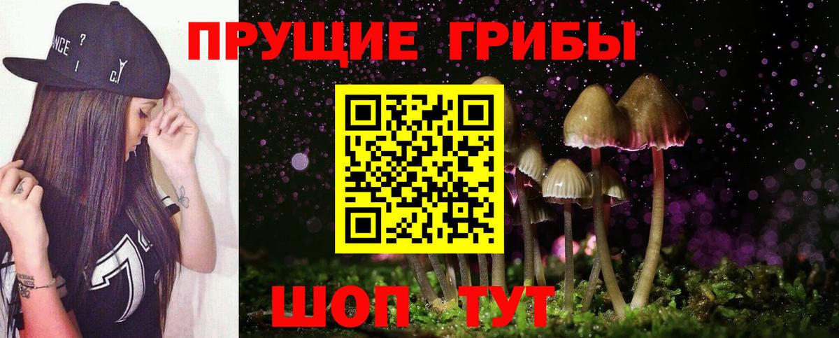 Псилоцибиновые грибы прущие грибы  Псилоцибиновые грибы Psilocybe  Омск 